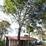 Chácara à venda com 3 quartos, sendo 2 suítes, em Jardim Estância Brasil, Atibaia, SP