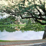 Casa à venda com 3 quartos, sendo 1 suíte, no condomínio Vinhas da Vista Alegre - Lado Café, Vinhedo - SP