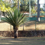 Casa à venda com 6 quartos, sendo 4 suítes, no condomínio Recanto dos Palmares, Atibaia - SP