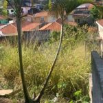 Terreno à venda em Jardim Bonfiglioli, São Paulo, SP