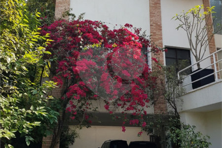 Casa à venda com 3 suítes no condomínio Palm Lane, São Paulo - SP