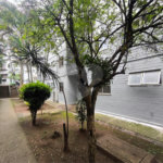 Apartamento à venda com 2 quartos em Vila Lucy, Sorocaba, SP
