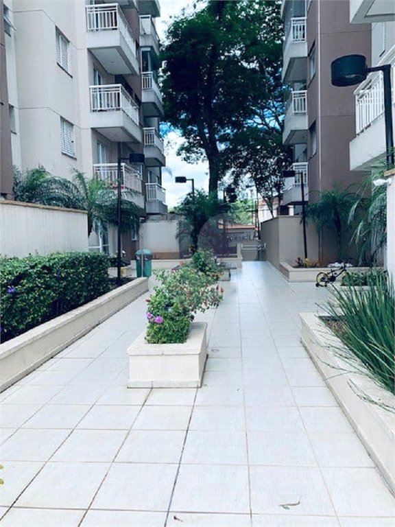 Apartamento à venda com 2 quartos em Mandaqui, São Paulo, SP