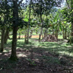 Chácara à venda com 4 quartos, sendo 1 suíte, em Taiaçupeba, Mogi das Cruzes, SP