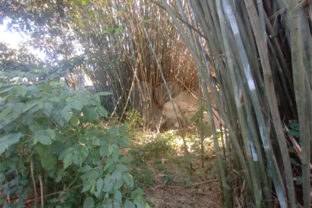 Terreno à venda em Vila Júlia, Poá, SP