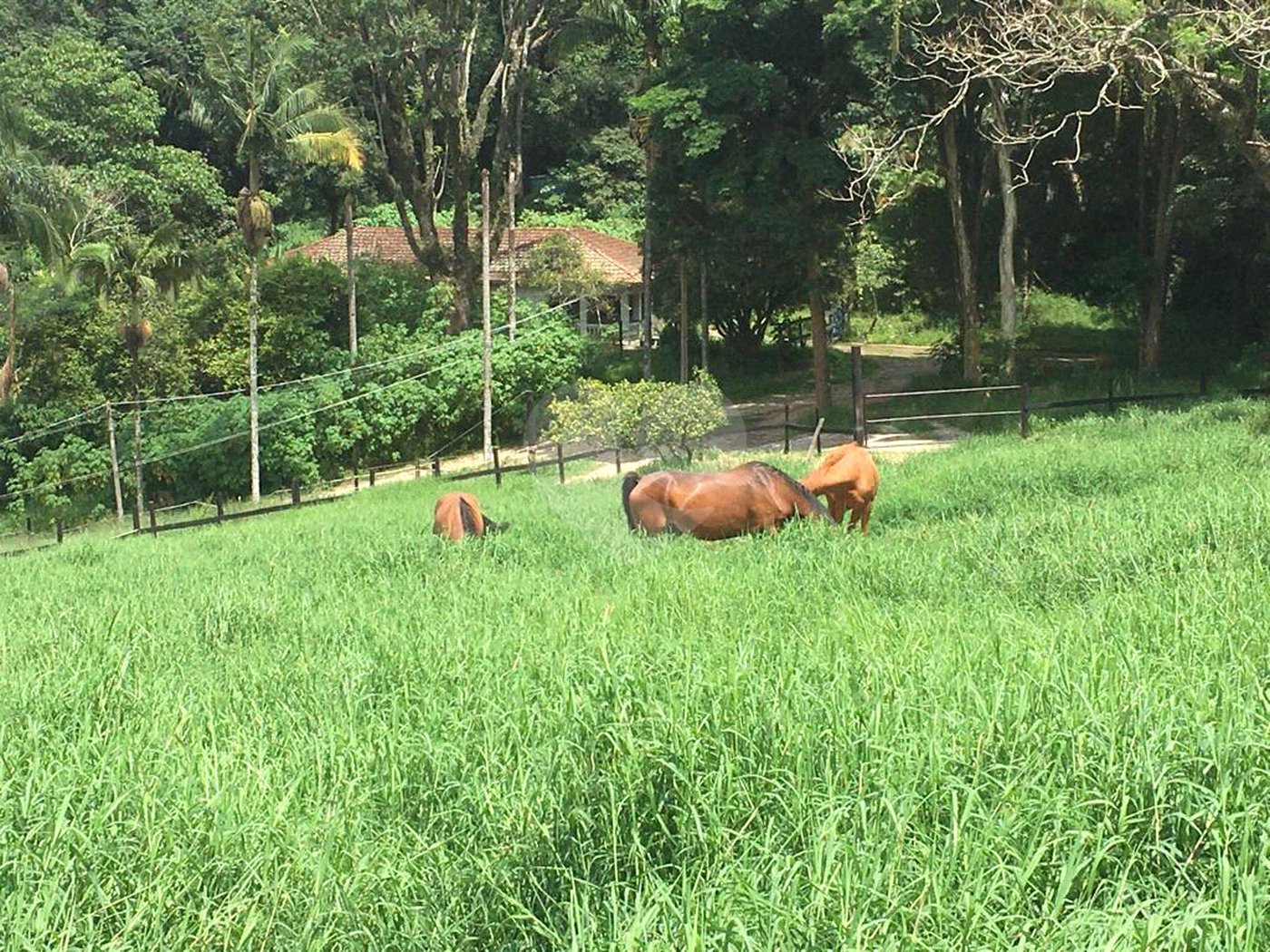 Sítio à venda com 3 suítes em Jardim Guaçu, São Roque, SP