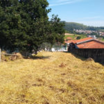 Terreno à venda no Centro, Bom Jesus dos Perdões, SP