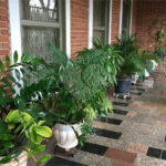 Casa térrea com 3 dormitórios, sendo 2 suítes.