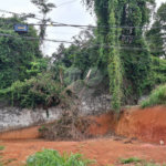 Terreno à venda em Vila Albertina, São Paulo, SP
