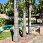 Casa à venda com 3 quartos, sendo 1 suíte, no condomínio Residencial Rio Preto Village, Atibaia - SP