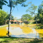 Terreno à venda em Portal dos Manacás, Artur Nogueira, SP