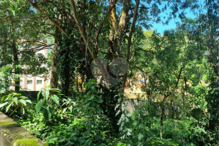 Terreno à venda no condomínio Horto do Ypê, São Paulo - SP