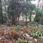 Terreno à venda em Serra da Cantareira, Mairiporã, SP