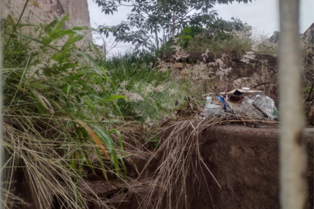 Terreno com 421 m², localizado no centro de São Carlos