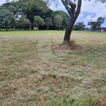 Loteamento Residencial no Condomínio Vila Pinhal do Broa.