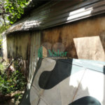 Cada térrea