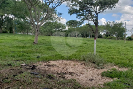 Sitio para venda.