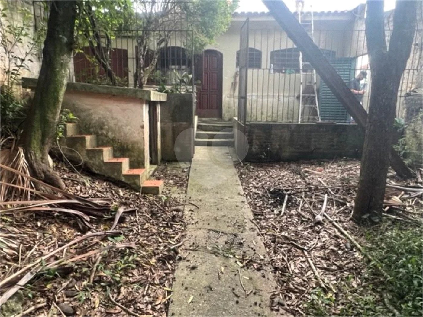 Vendo Terreno de 290m2 rua do Horto para sua casa ou investimento