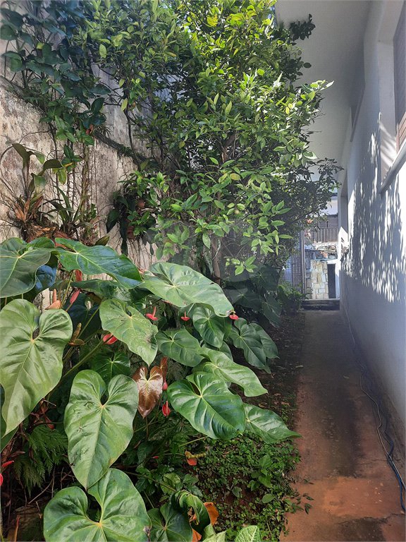 Casa com 4 quartos e 3 suítes com ótimo lazer no Jardim Marajoara
