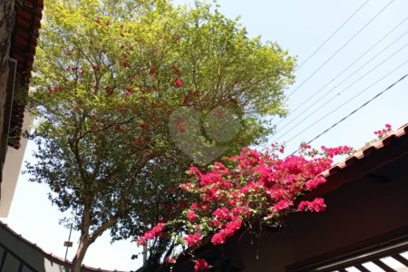 Casa com 300m² , 4 dormitórios , sendo 2 suítes , 5 vagas , à venda no bairro Curuçá , em Santo André.