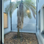 SOBRADO COM DESIGN EXCLUSIVO E LAZER COMPLETO 3 DORMITÓRIOS SENDO 1 SUÍTE