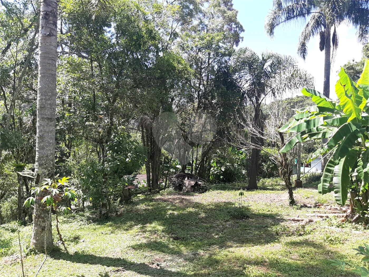 Tapiraí Sp - Sítio Santa Clara - Area de 12,1 ha - composto por casa principal, galpões poço artesiano, ótima área para plantios. Fica localizado a aproximadam. 1 quilômetro da prefeitura. Area preservação permanente- 4,6 ha - Area aproveitável - 4,6 ha - area utilizada rural - 2,5 ha -R$ 750.000,00