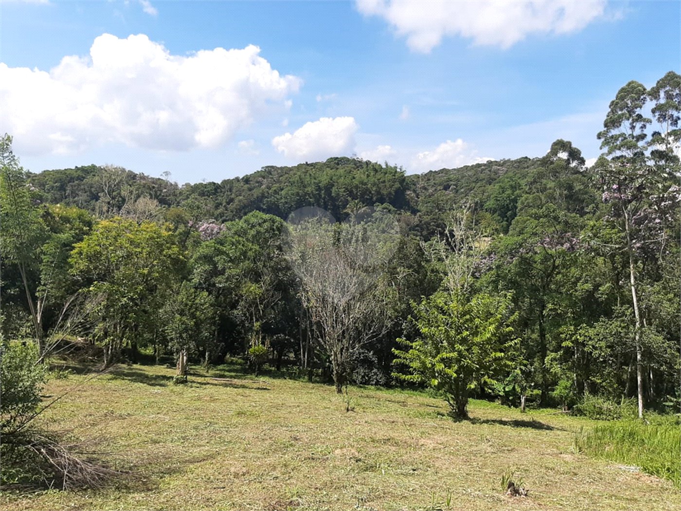 Tapiraí Sp - Sítio Santa Clara - Area de 12,1 ha - composto por casa principal, galpões poço artesiano, ótima área para plantios. Fica localizado a aproximadam. 1 quilômetro da prefeitura. Area preservação permanente- 4,6 ha - Area aproveitável - 4,6 ha - area utilizada rural - 2,5 ha -R$ 750.000,00