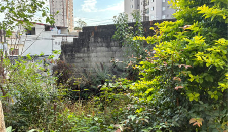 Terreno à venda em Vila Fiuza, Guarulhos, SP