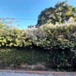 Casa de Alto Padrão à Venda e Locação no Parque Santa Mônica - São Carlos
