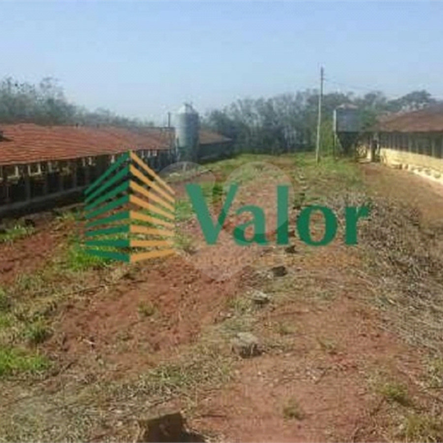 Sítio Estrada São Carlos Ribeirão - próximo São Carlos
