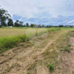 Loteamento Residencial no Condomínio Vila Pinhal do Broa.