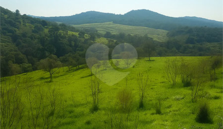 Terreno à venda em Ressaca, Atibaia, SP