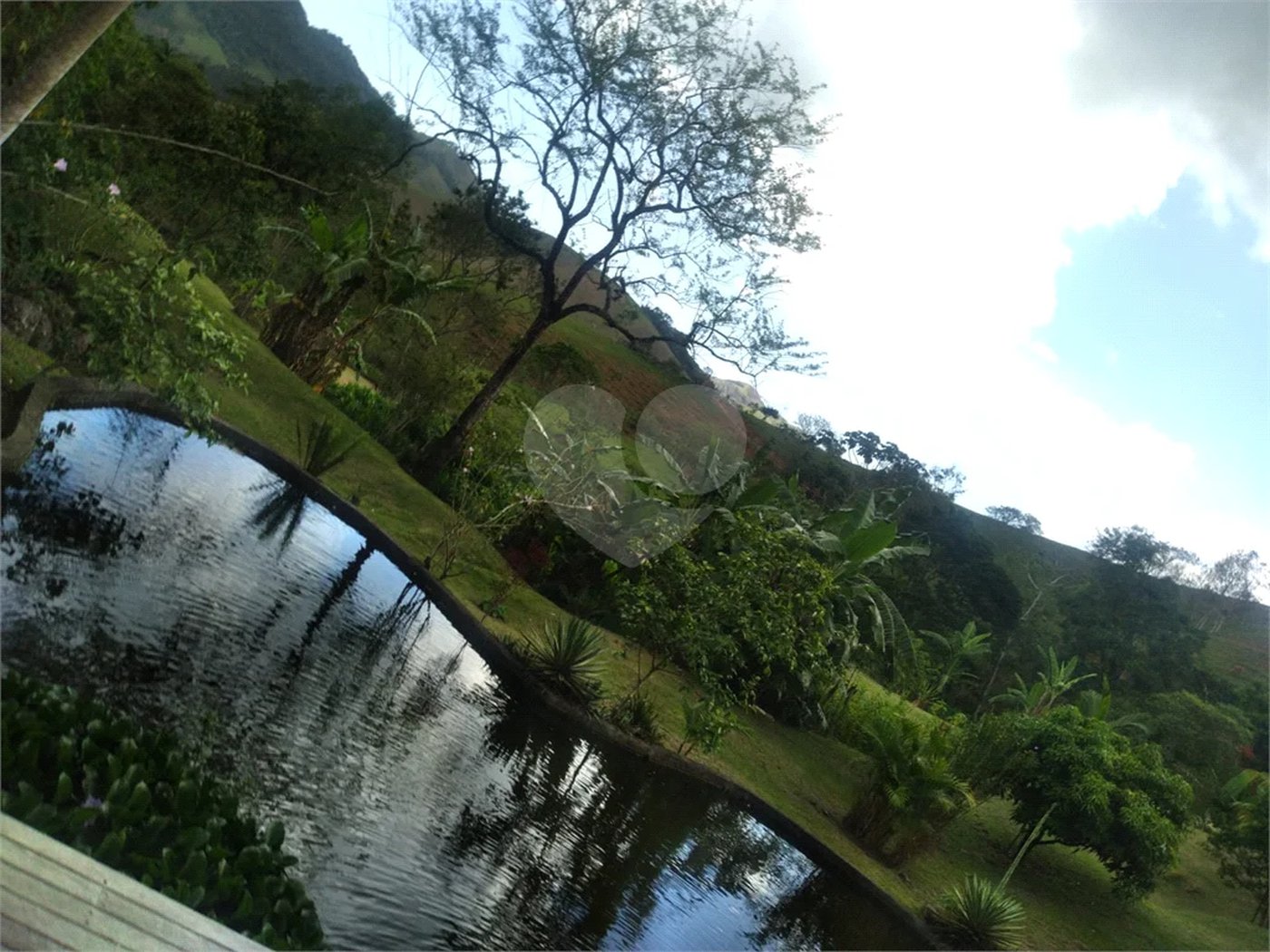 Sítio dos Sonhos em São Francisco Xavier – 10 Alqueires de Pura Natureza!