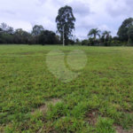 Loteamento Residencial no Condomínio Vila Pinhal do Broa.