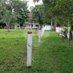 Sitio para venda.