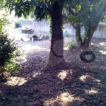 TERRENO EM ÓTIMA LOCALIZAÇÃO 760 METROS!