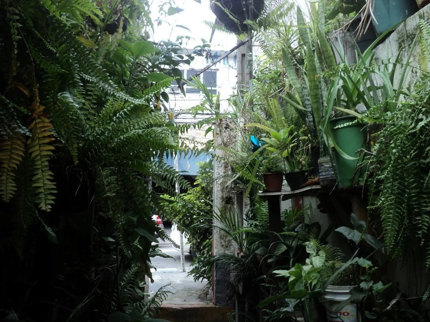 Terreno à venda com 1 quarto em Jardim Floresta, São Paulo, SP
