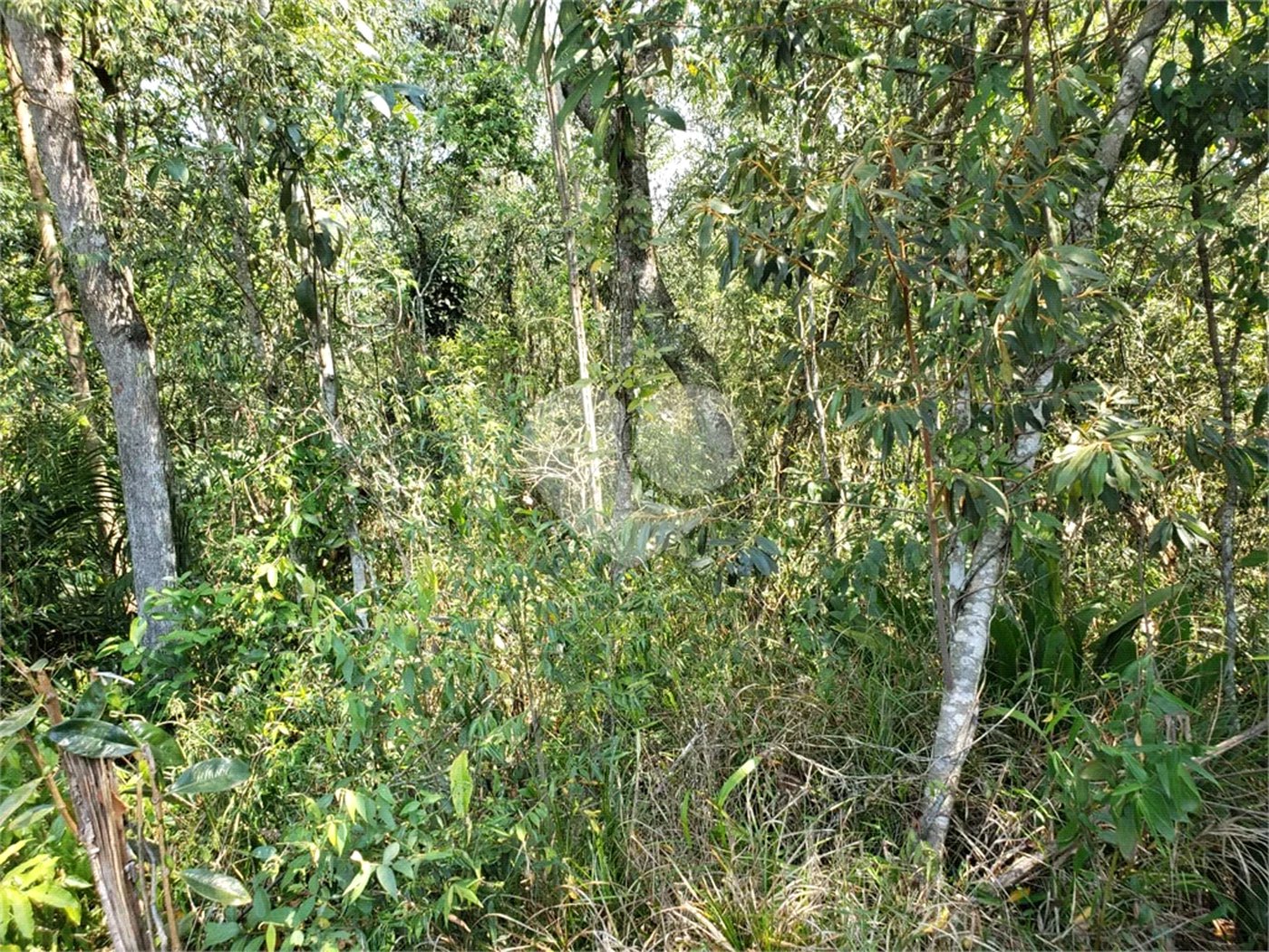 Terreno à venda no condomínio Cantareira, Mairiporã - SP