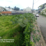 Terreno à venda em Vila Oliveira, Mogi das Cruzes, SP
