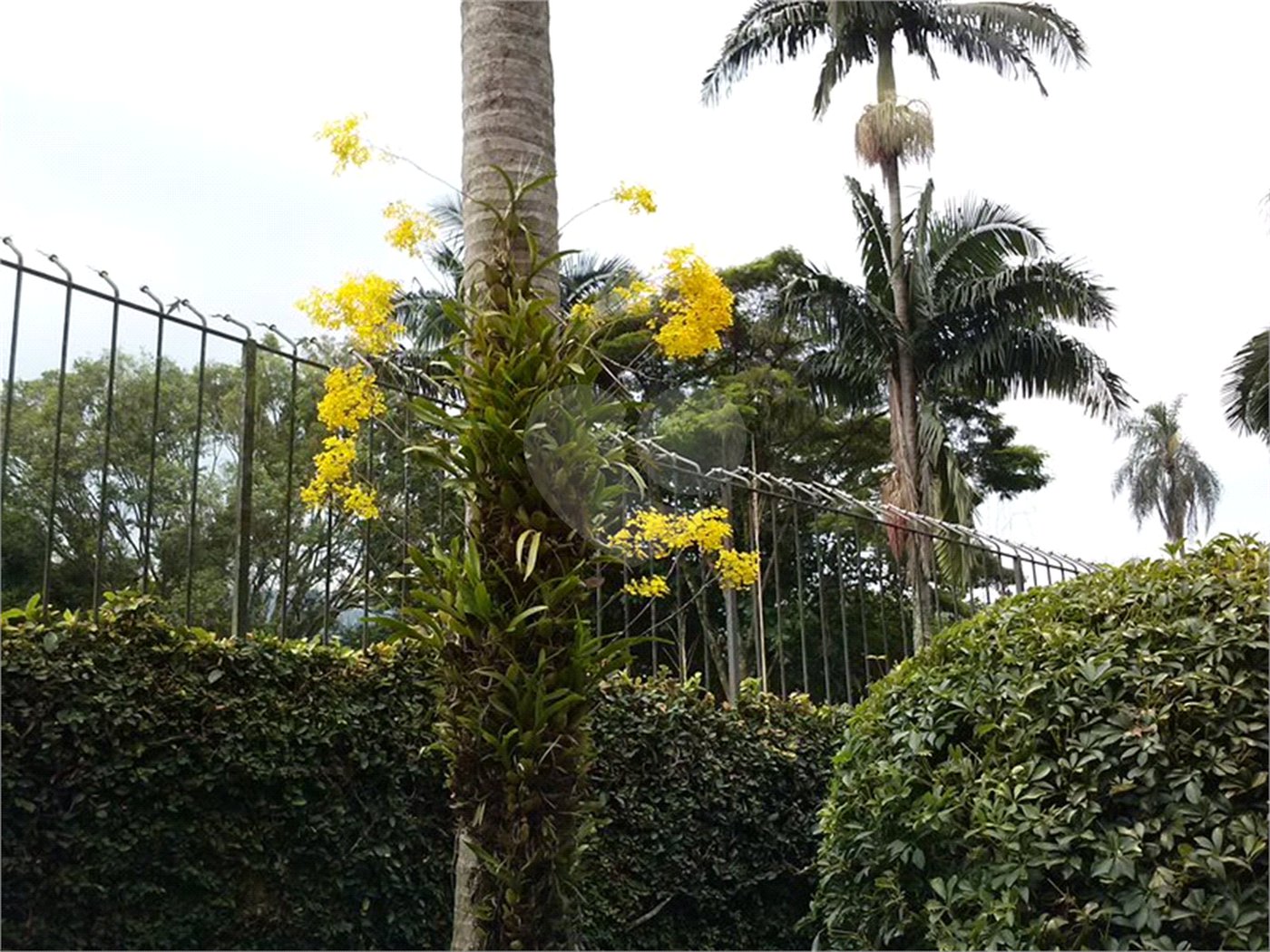 Sobrado à venda com 4 quartos, sendo 2 suítes, em Horto, São Paulo, SP