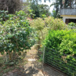 Terreno à venda com 2 quartos, sendo 1 suíte, em Jardim Floresta, São Paulo, SP