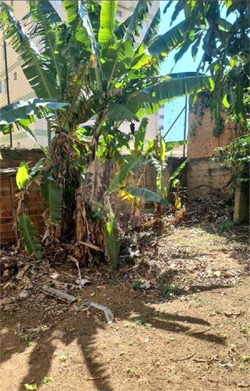 Terreno à venda em Vila Mazzei, São Paulo, SP