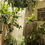 Sobrado à venda com 2 quartos em Jaçanã, São Paulo, SP