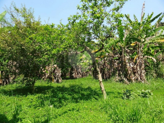 Terreno à venda em Horto Florestal, São Paulo, SP
