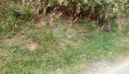 Terreno à venda em Caraguatá, Mairiporã, SP