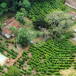 Área de Terra à venda no Centro, Bom Jesus dos Perdões, SP