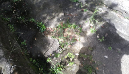 Terreno à venda em Santana, São Paulo, SP