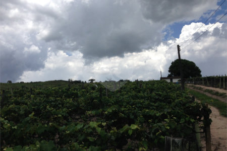 Área de Terra à venda em Colinas do Mosteiro de Itaici, Indaiatuba, SP