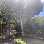 Apartamento à venda com 2 quartos em Vila Haro, Sorocaba, SP