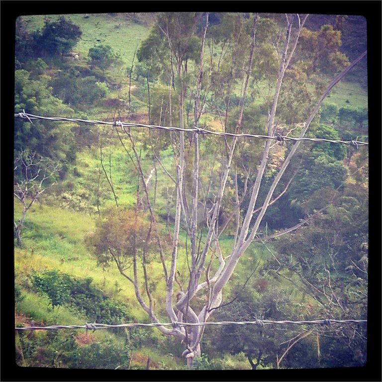 Hotel à venda com 7 quartos, sendo 4 suítes, no Centro, Soledade de Minas, MG